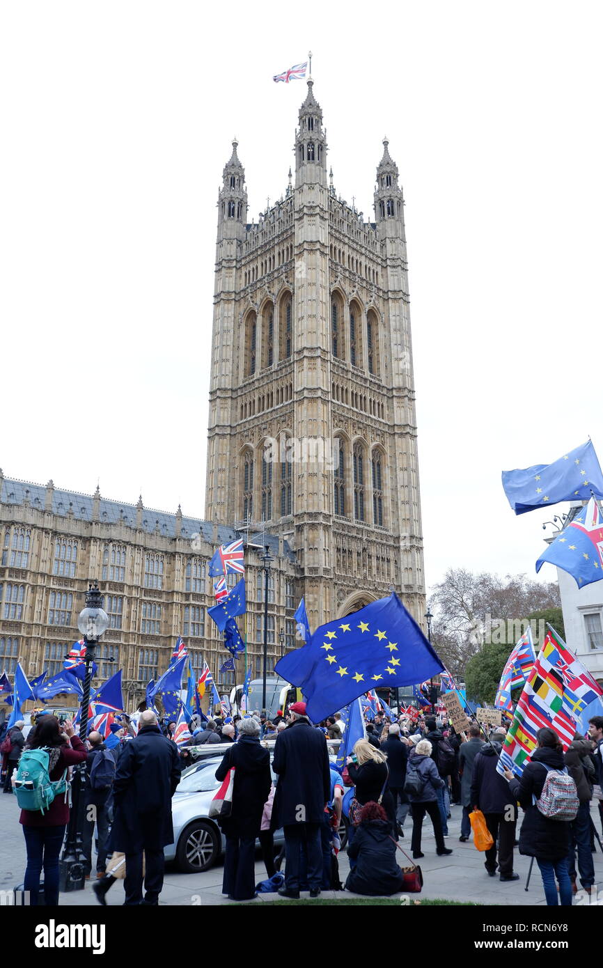 London, UK. 15th Jan 2019. Brexit protesters outside the Houses of Parliament, London (UK). Tuesday 15 January 2019. Credit: Jonathan Jones/Alamy Live News Stock Photo