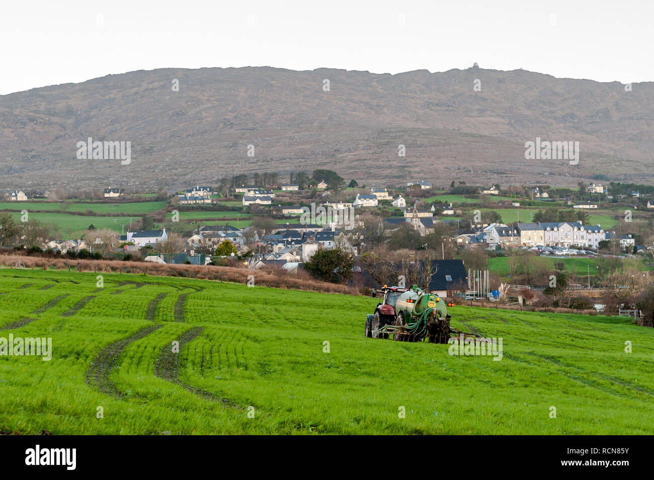 Schull, West Cork, Ireland. 16th Jan, 2019. A local farmer spreads slurry on his field under the gaze of Schull and Mount Gabriel. Met Eireann has put a yellow wind warning in place for counties Cork and Kerry from 12.00 to 17.00 today. Wind will reach mean speed between 50 to 65 km/h with gusts of up to 90km/h. Credit: AG News/Alamy Live News Stock Photo