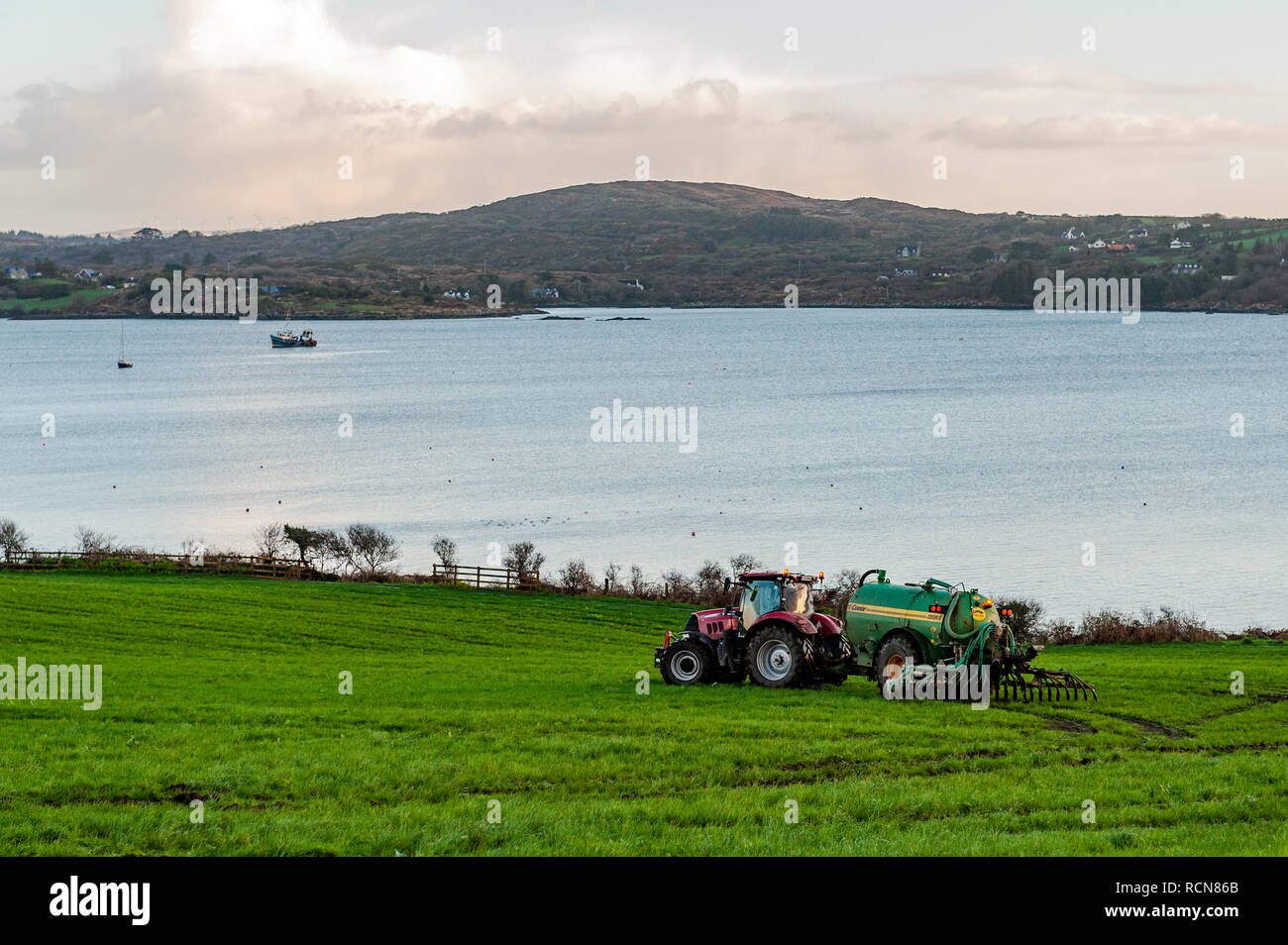 Schull, West Cork, Ireland. 16th Jan, 2019. A local farmer spreads slurry on his field under the gaze of Schull and Mount Gabriel. Met Eireann has put a yellow wind warning in place for counties Cork and Kerry from 12.00 to 17.00 today. Wind will reach mean speed between 50 to 65 km/h with gusts of up to 90km/h. Credit: AG News/Alamy Live News Stock Photo