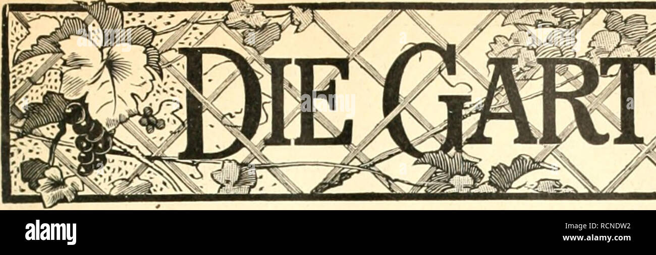. Die Gartenwelt. Gardening. l 2i ustriertes Wochenblatt für den gesamten Gartenbau.. Please note that these images are extracted from scanned page images that may have been digitally enhanced for readability - coloration and appearance of these illustrations may not perfectly resemble the original work.. Berlin : G. Schmidt Stock Photo