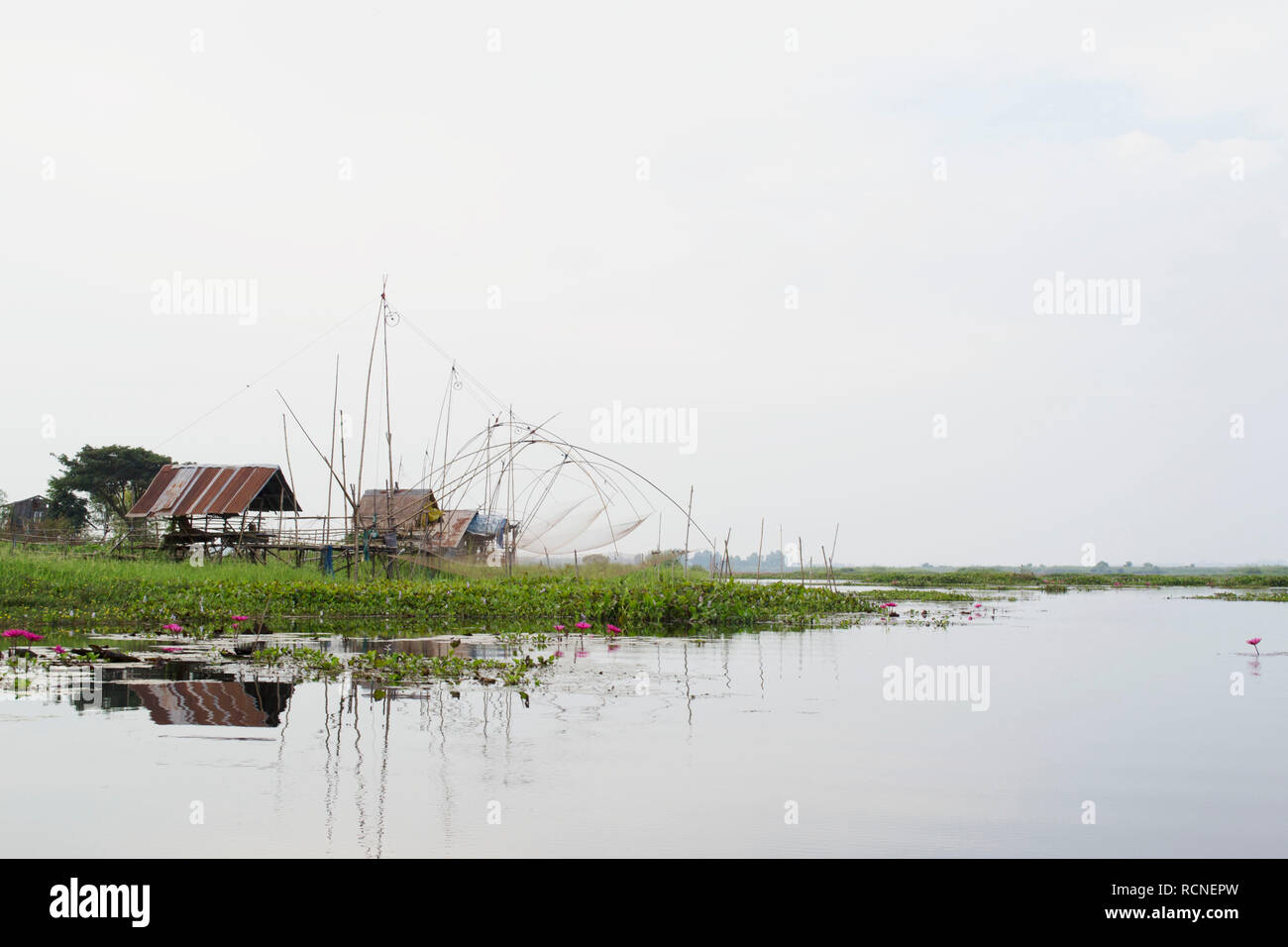 Fishing huts at Red Lotus Lake in Udon Thani, Thailand Stock Photo