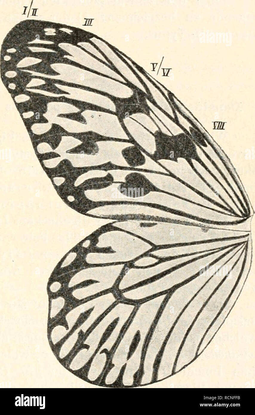 Hestia Stock Photos & Hestia Stock Images - Alamy