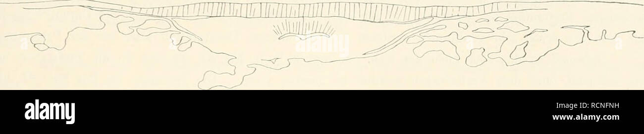 Page 2 Emil Fischer High Resolution Stock Photography And Images Alamy