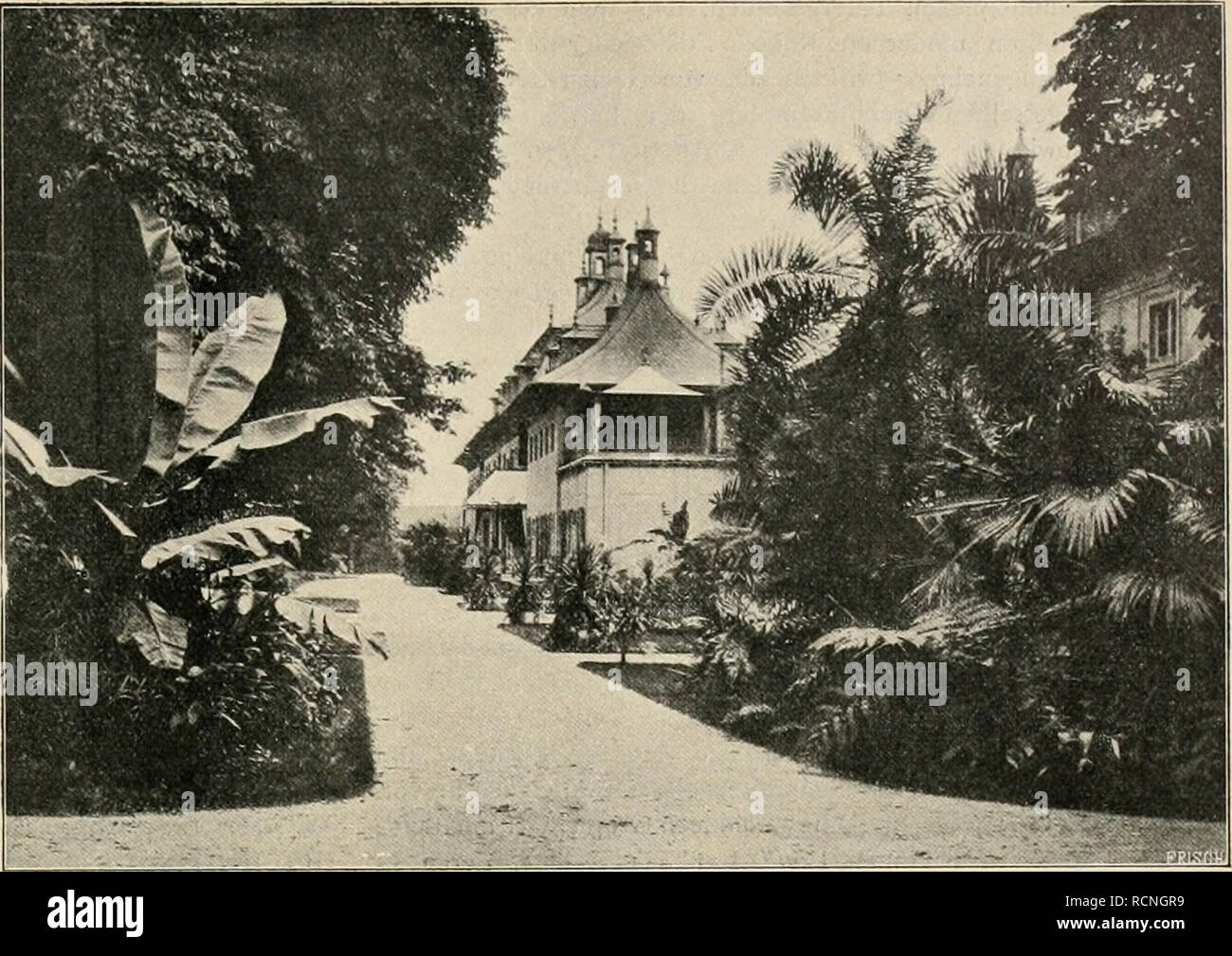 Die Gartenwelt Gardening Iv 38 Die Gartenwelt 451 Der Genannten Sorte Jede Scharfe Ab In Meinen