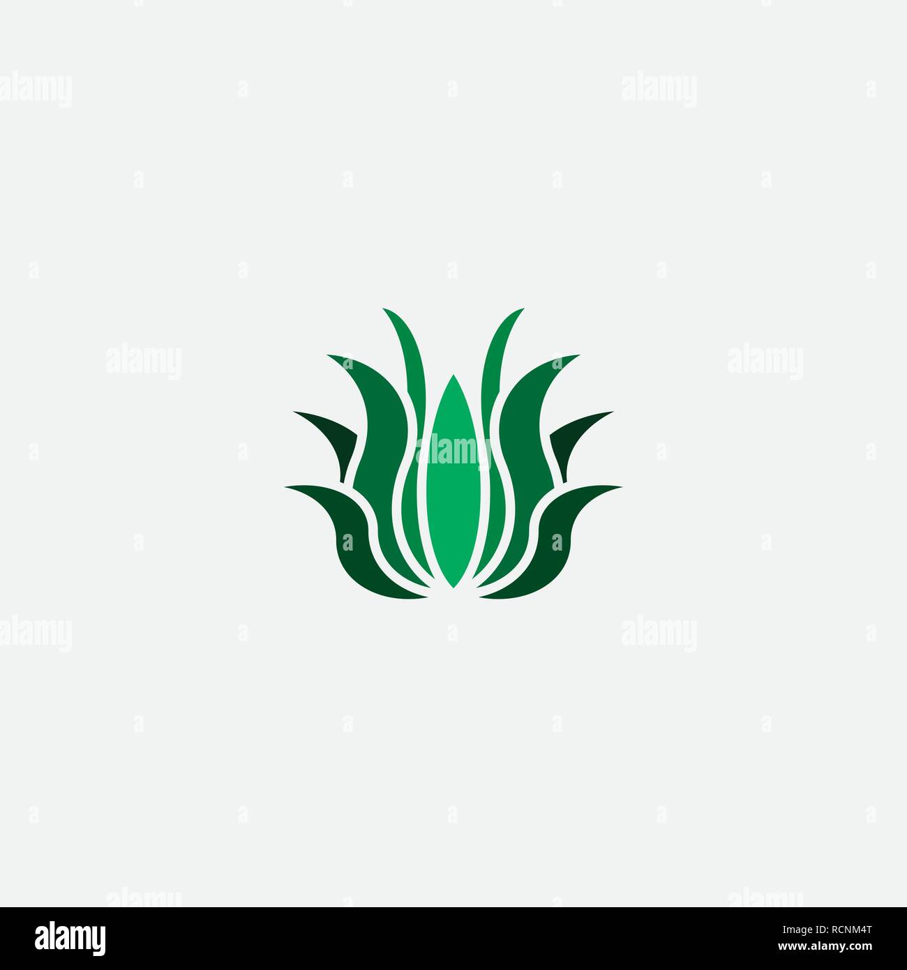Aloe vera logo hi-res stock photography and images - Alamy