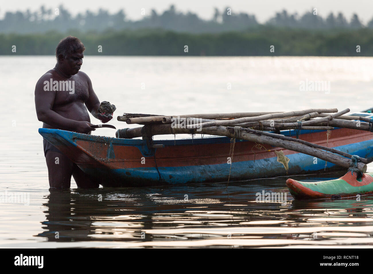 Ceylon lagoon hires stock photography and images Alamy