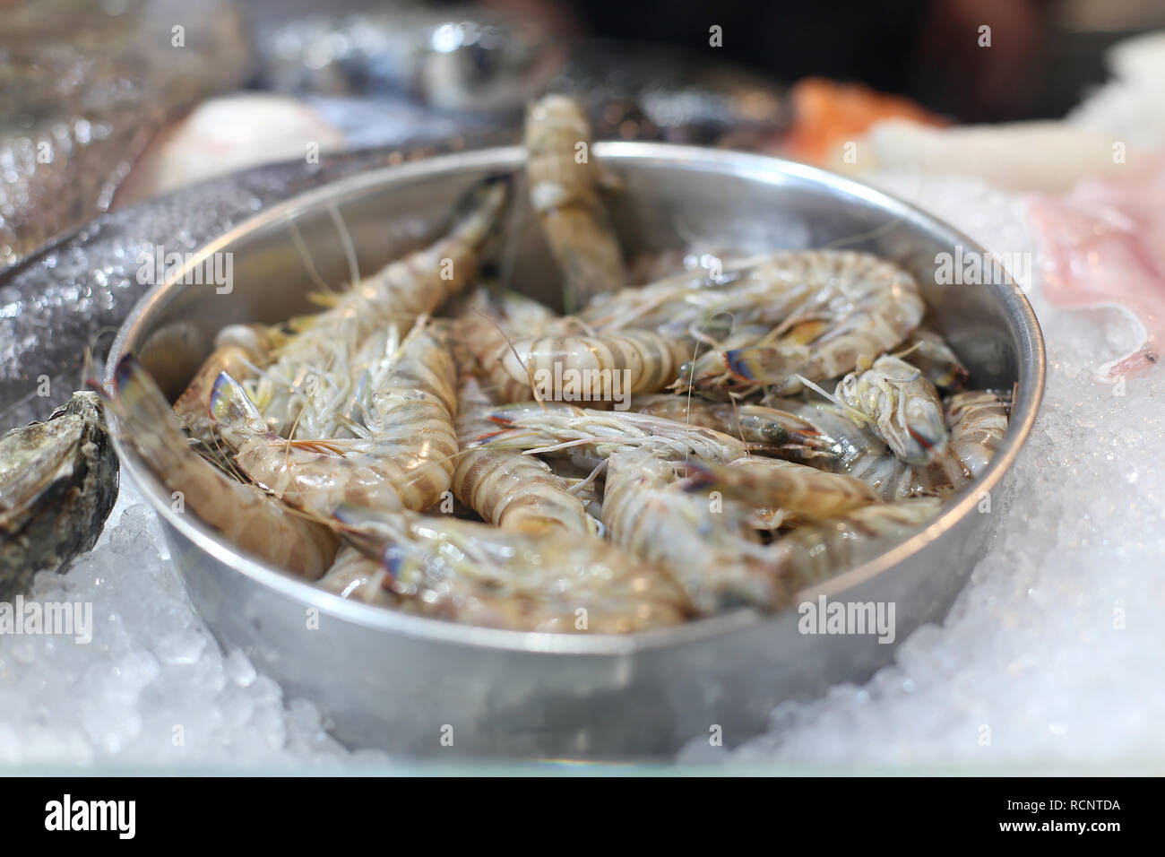 Gray shrimps in a bowl placed on ice. Uncooked sea food at the framers market. Fresh food ingredient background. Stock Photo