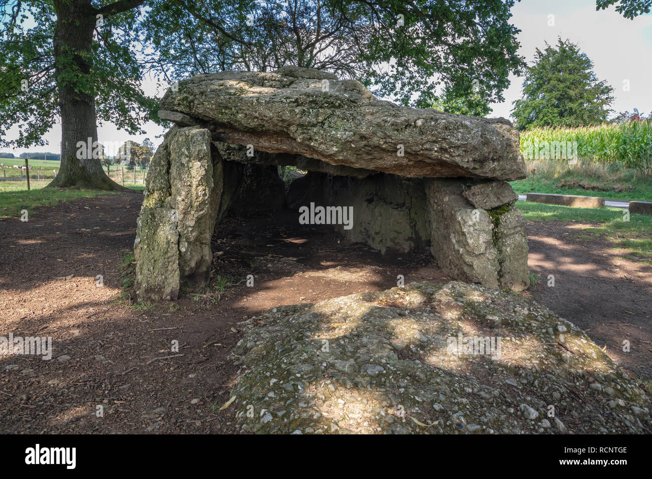 Prehistoric chambered tomb, Wéris, Belgium Stock Photo