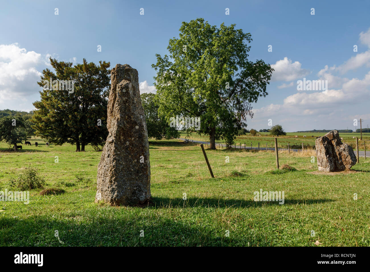 Standing stone, Wéris, Belgium Stock Photo