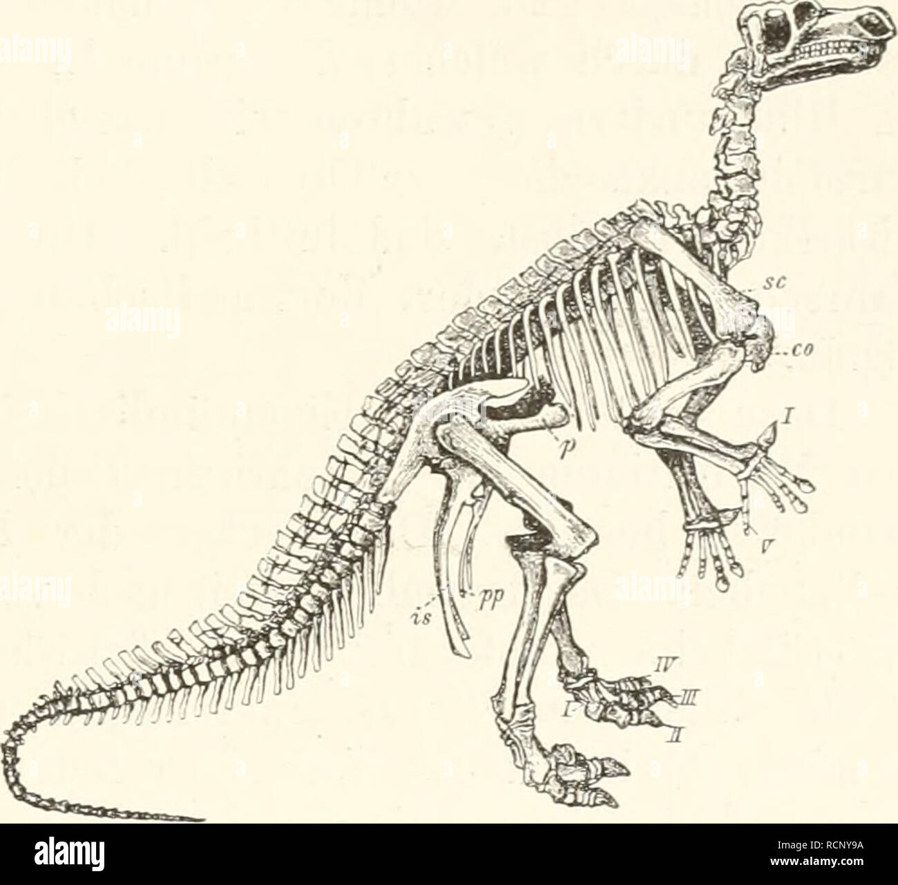 File:Gedichte Schiller Bd 2 (1805) 289.gif - Wikimedia Commons, image size:1300x1282