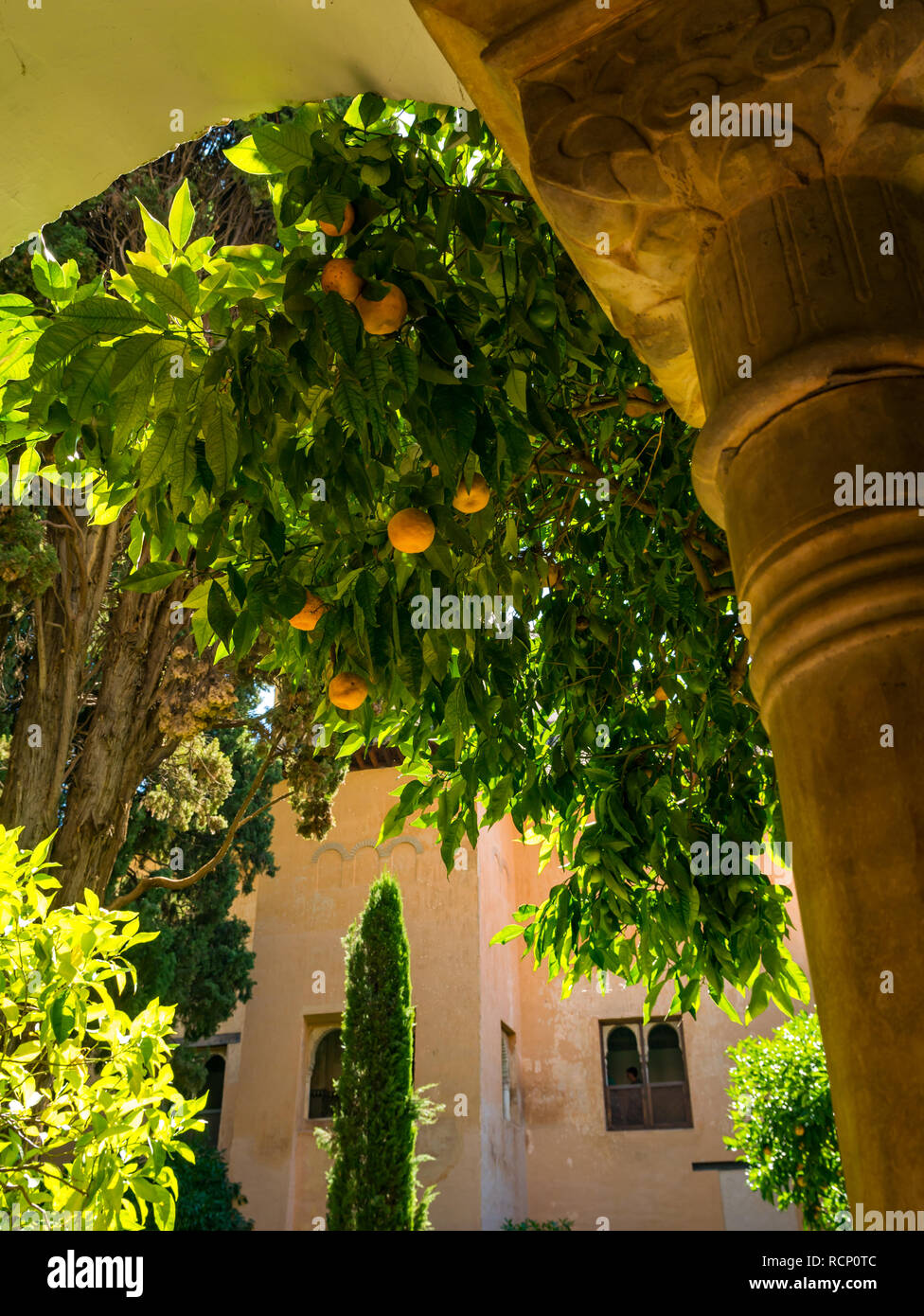 Courtyard of the oranges hires stock photography and images Alamy