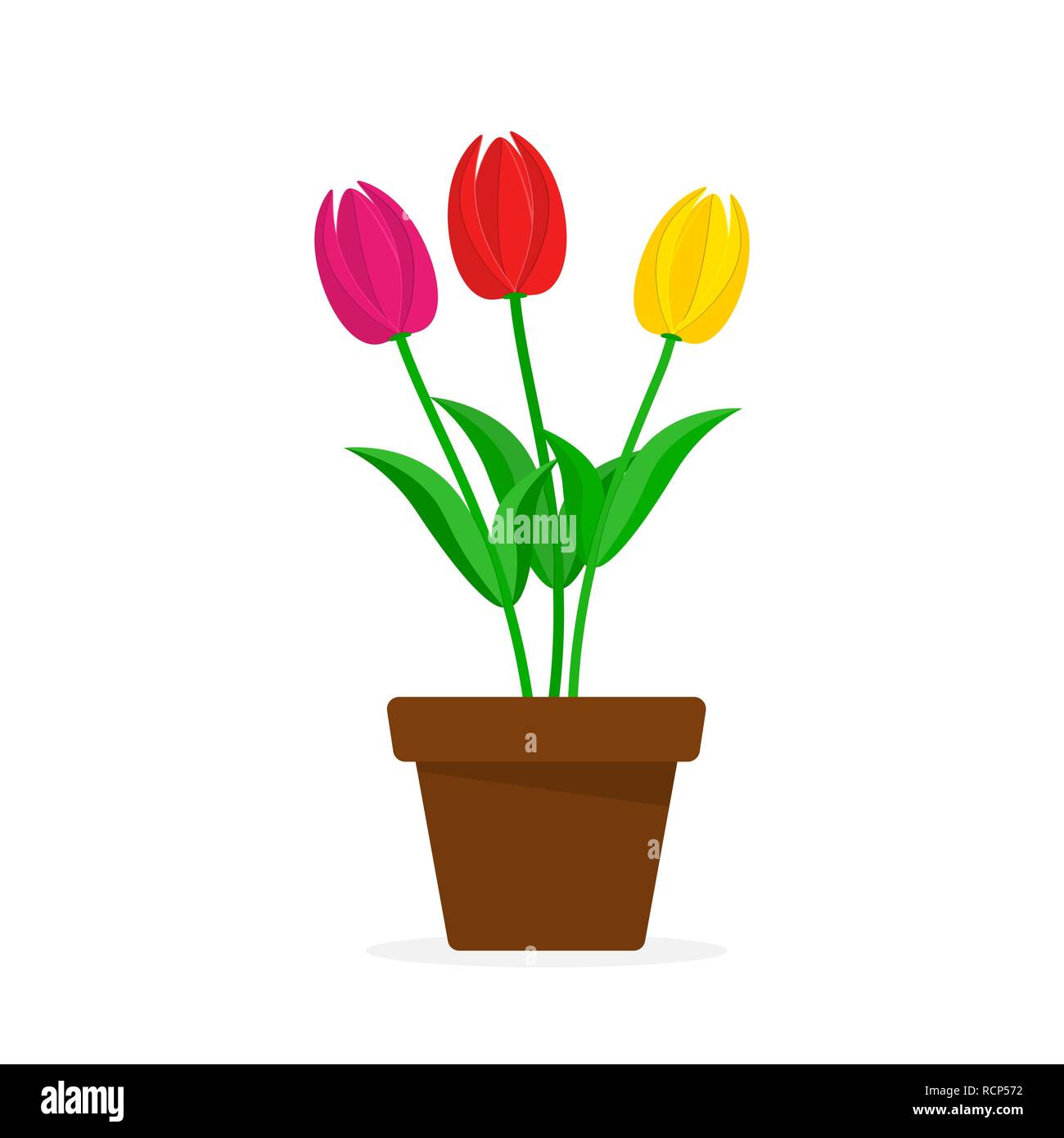 Bouquet of colorful tulips in the pot. Vector illustration. A pot with ...
