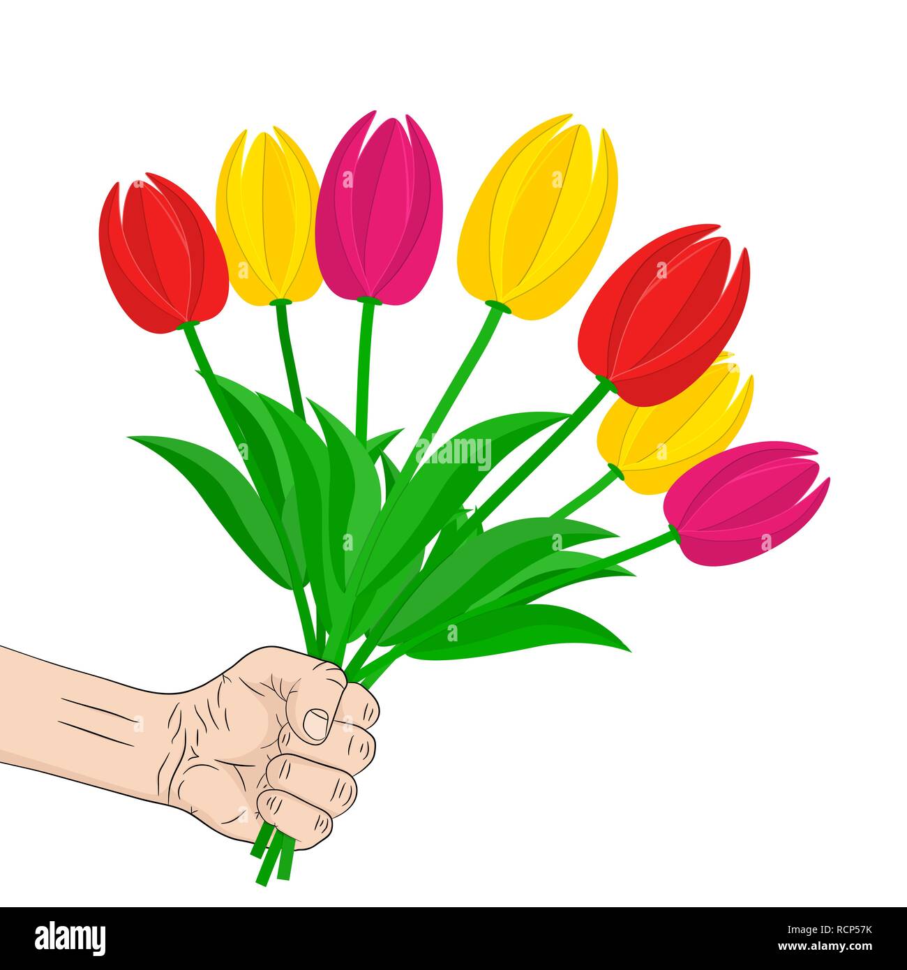 Bouquet of colorful tulips in the hand. Vector illustration. Hand with a bouquet of flowers in flat design, isolated on white background Stock Vector