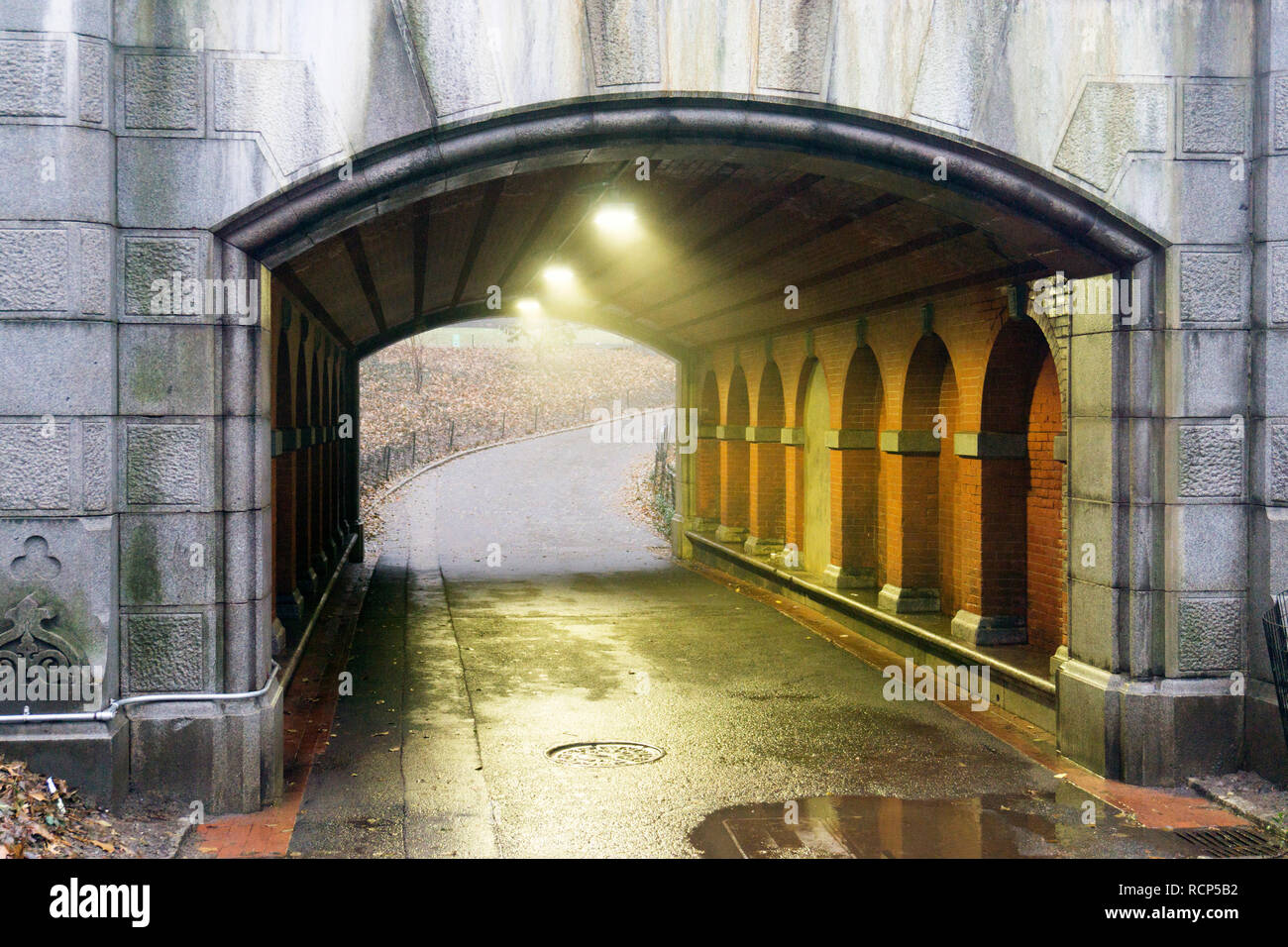 A tunnel in central park in New York Stock Photo Alamy