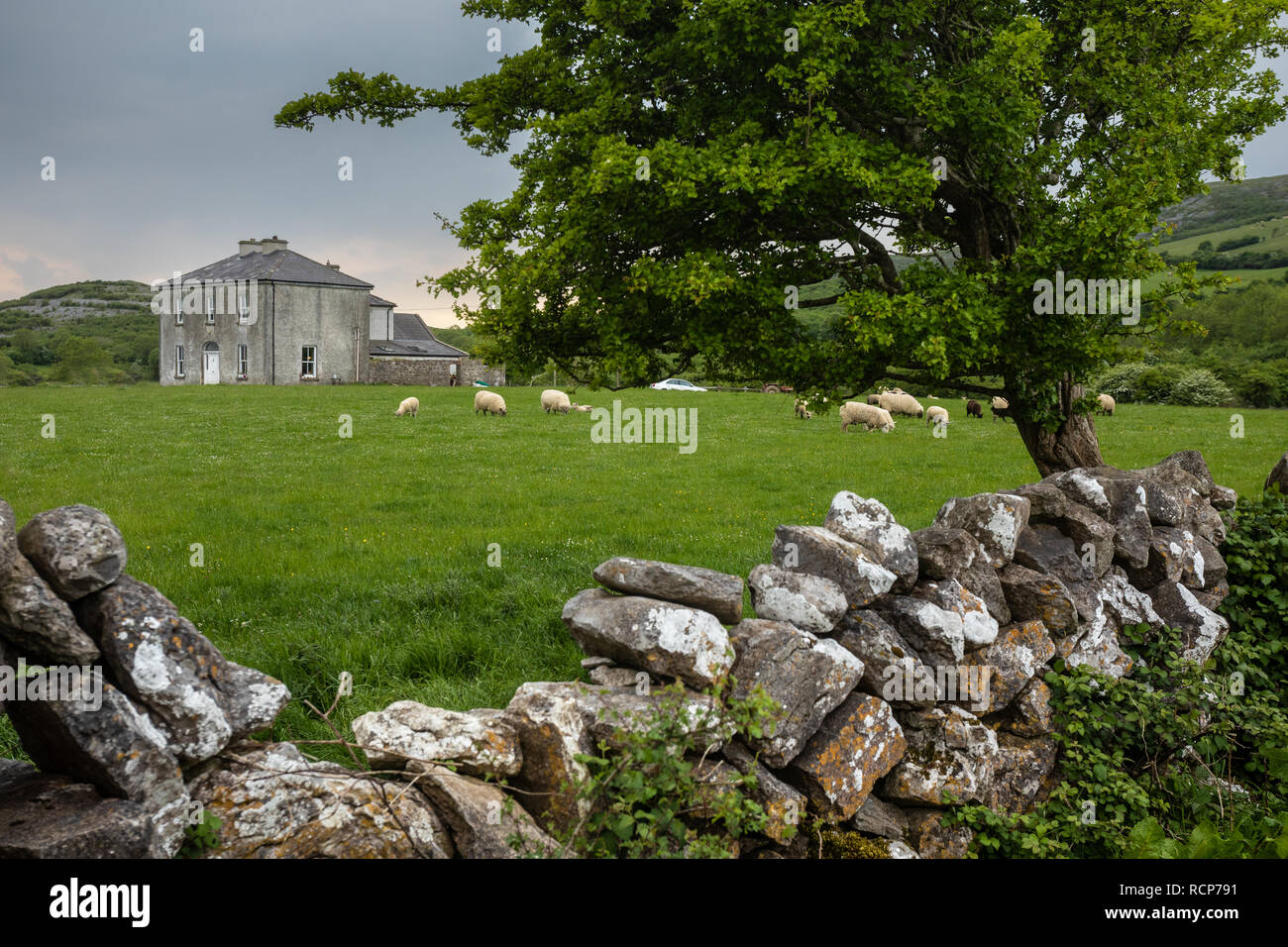 Father ted house clare hires stock photography and images Alamy