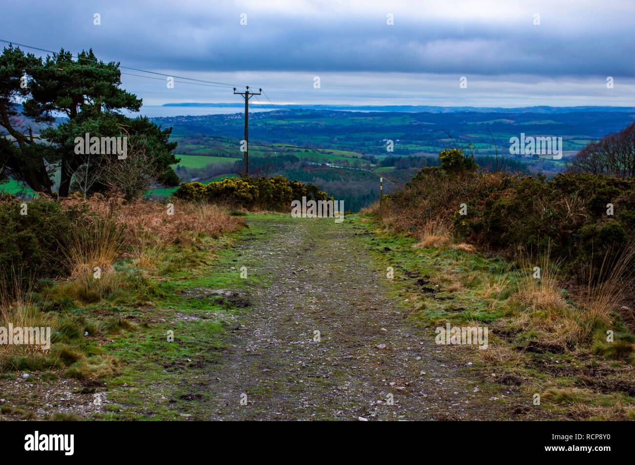 A path leading through Fire Beacon Hill local nature reserve in Devon