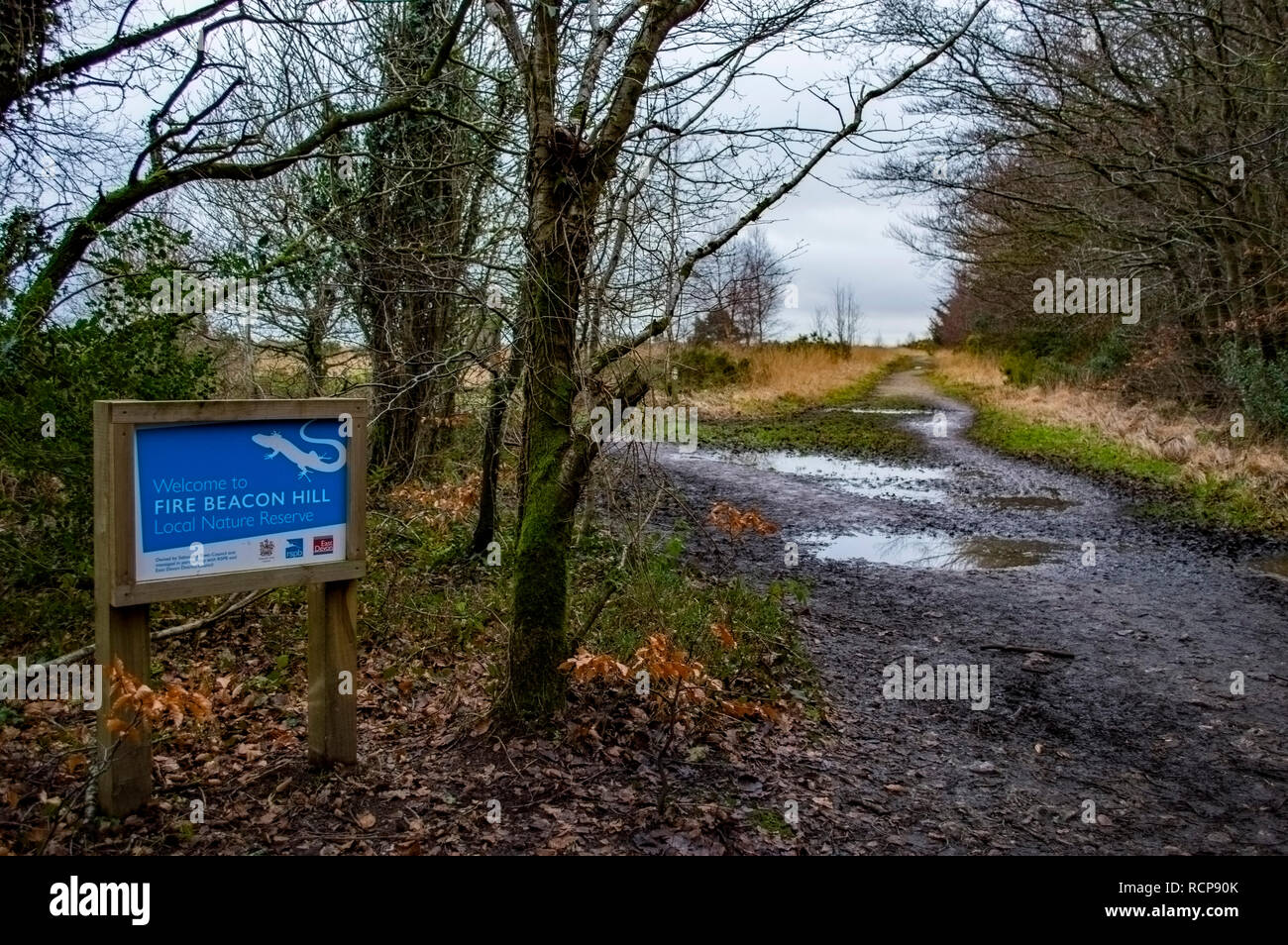 A sign for the Fire Beacon Hill local nature reserve in Devon, UK Stock