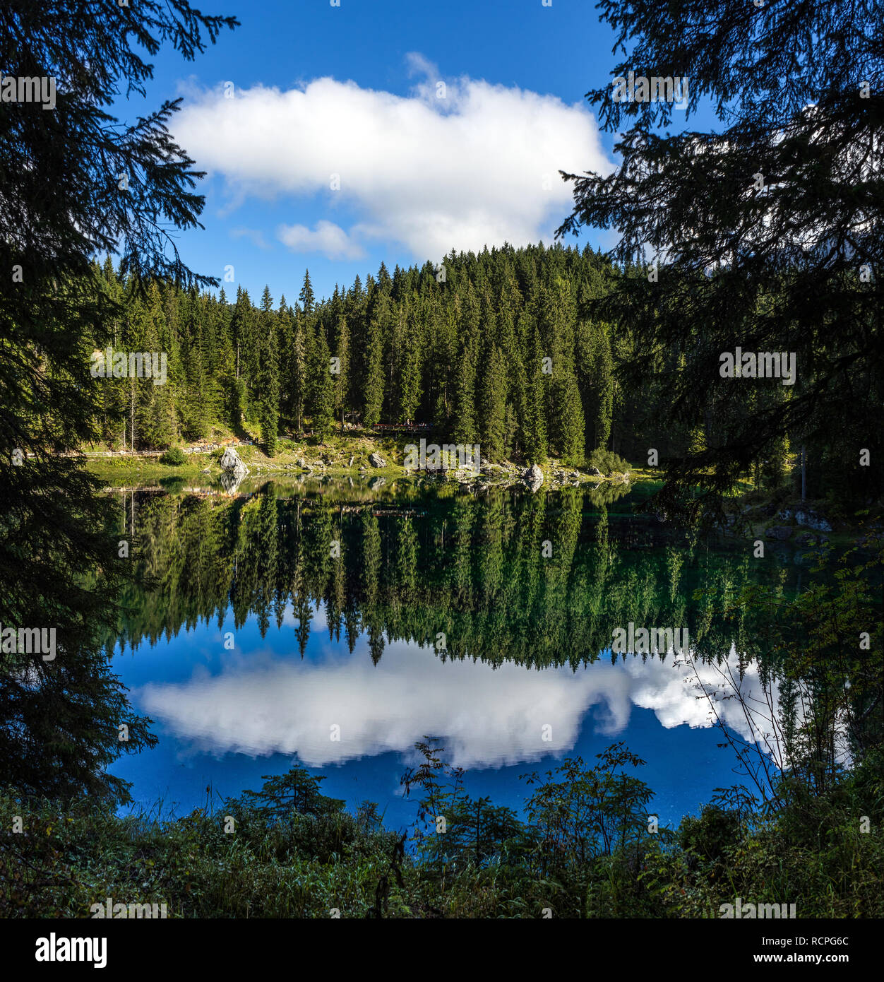Lake Carezza (lago di carezza), Dolomites, Italy, Europe Stock Photo