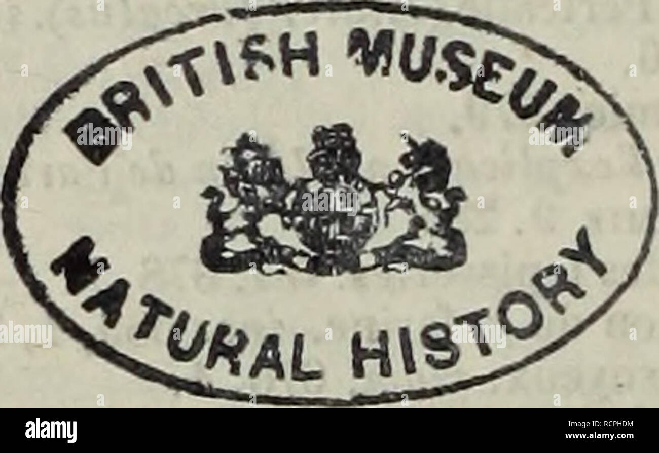 Page 3 711 12 High Resolution Stock Photography And Images Alamy