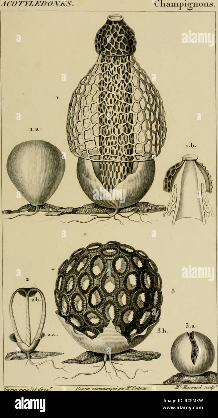 Page 13 - La Lanterne High Resolution Stock Photography and Images - Alamy