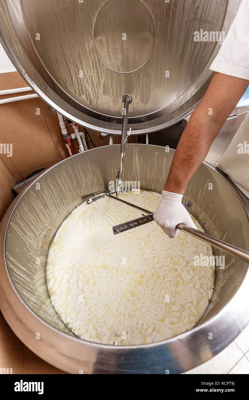 Industrial production of cheese. Cheese industry Stock Photo