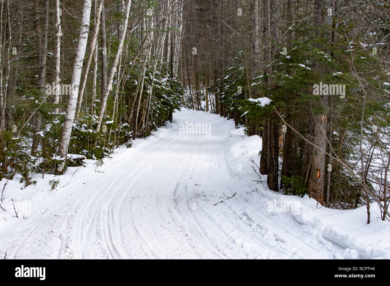 A freshly groomed snowmobile trail through the Adirondack Mountains wilderness near Speculator, NY USA. Stock Photo