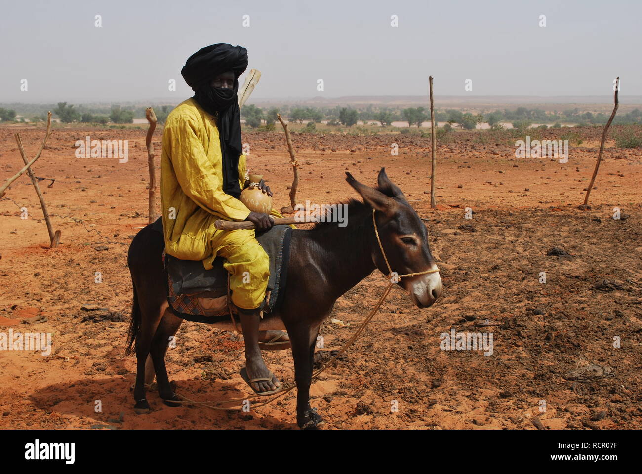 A man riding a donkey in Niger, Africa Stock Photo Alamy