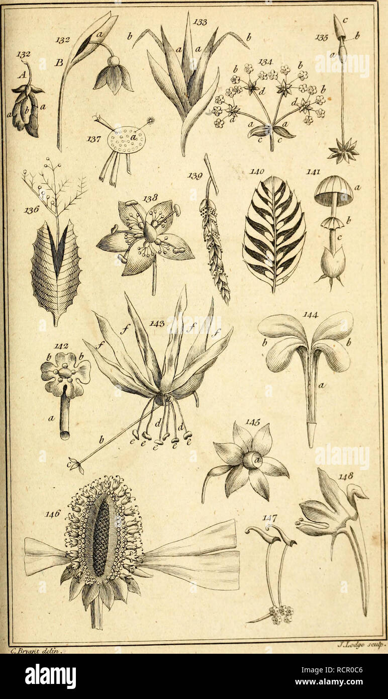 Linnaeus’ Philosophia Botanica