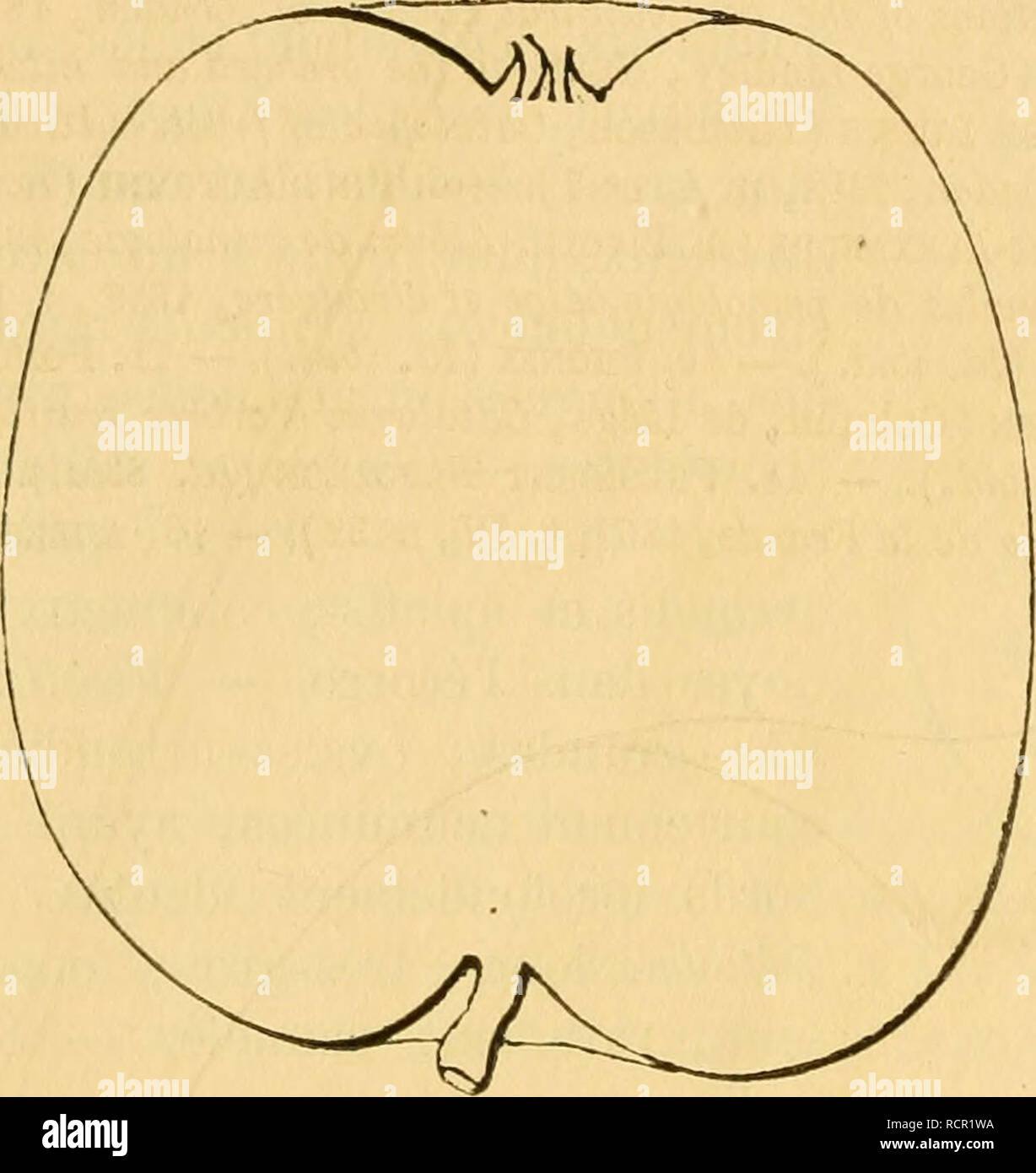 S 332 Stock Photos S 332 Stock Images Page 6 Alamy