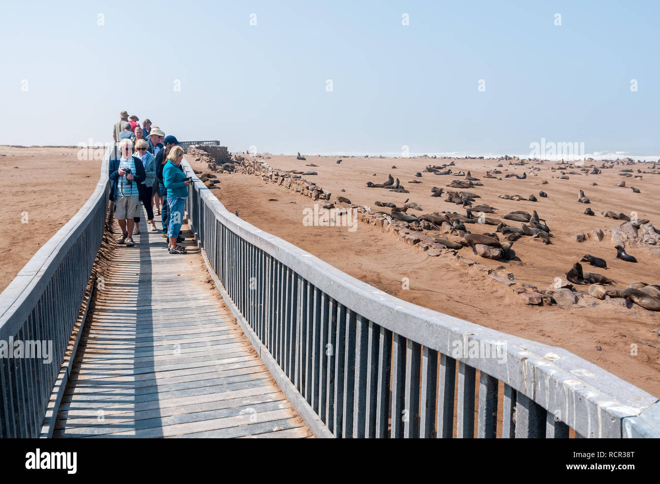 tourist, wooden walkway, footbridge, Cape cross seal reserve, Namibia Stock Photo