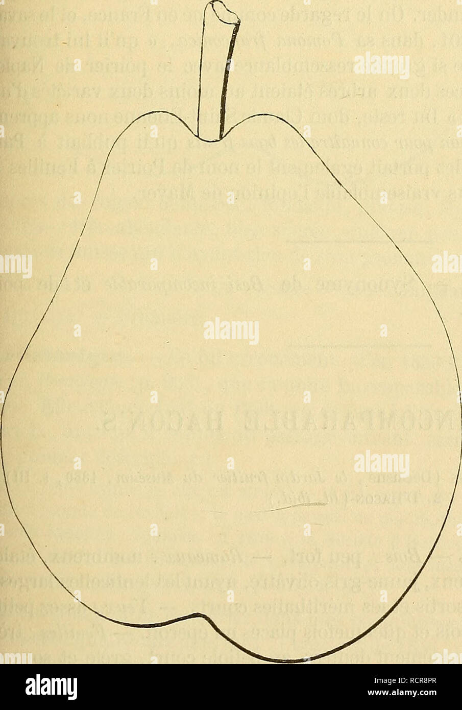 Dictionnaire de pomologie : contenant l'histoire, la description, la figure  des fruits anciens et des fruits modernes les plus gÃ©nÃ©ralement connus et  cultivÃ©s. Fruit. I Poire IMPÃRATRICE. â Synonyme de poire