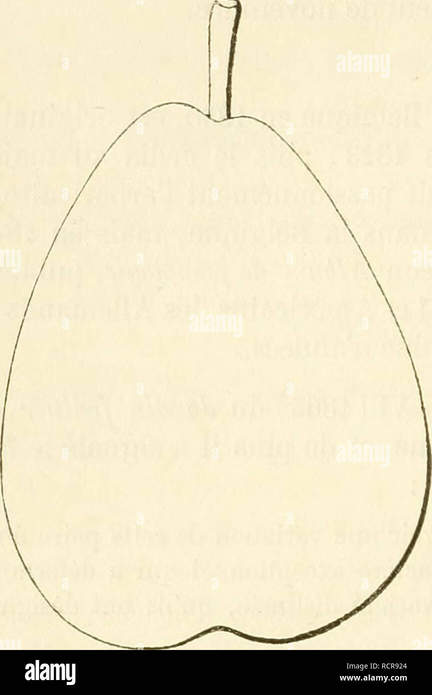 Page 3 3 15 High Resolution Stock Photography And Images Alamy