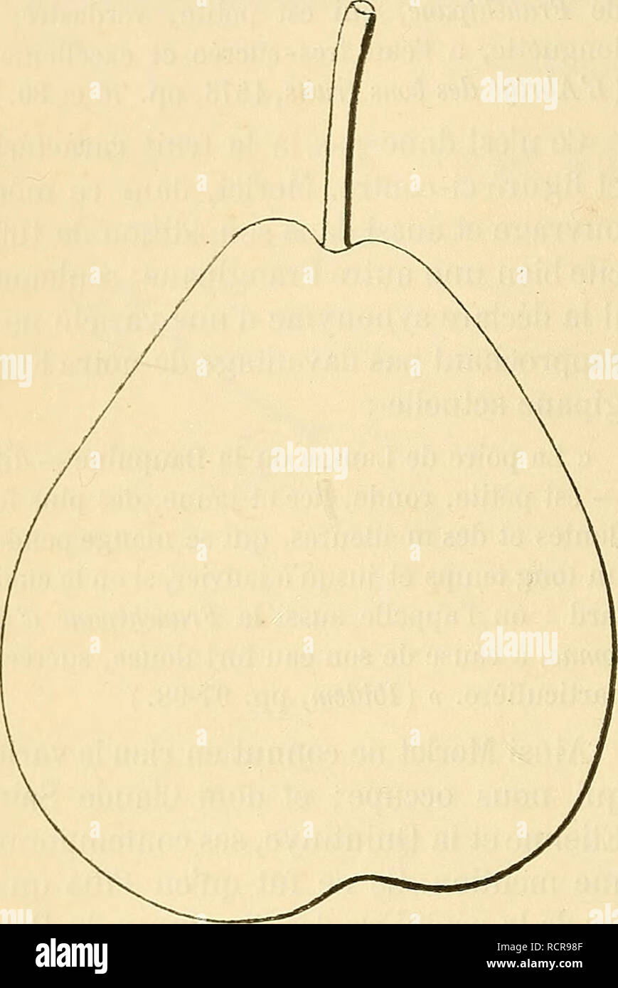 Page 6 528 I High Resolution Stock Photography And Images Alamy