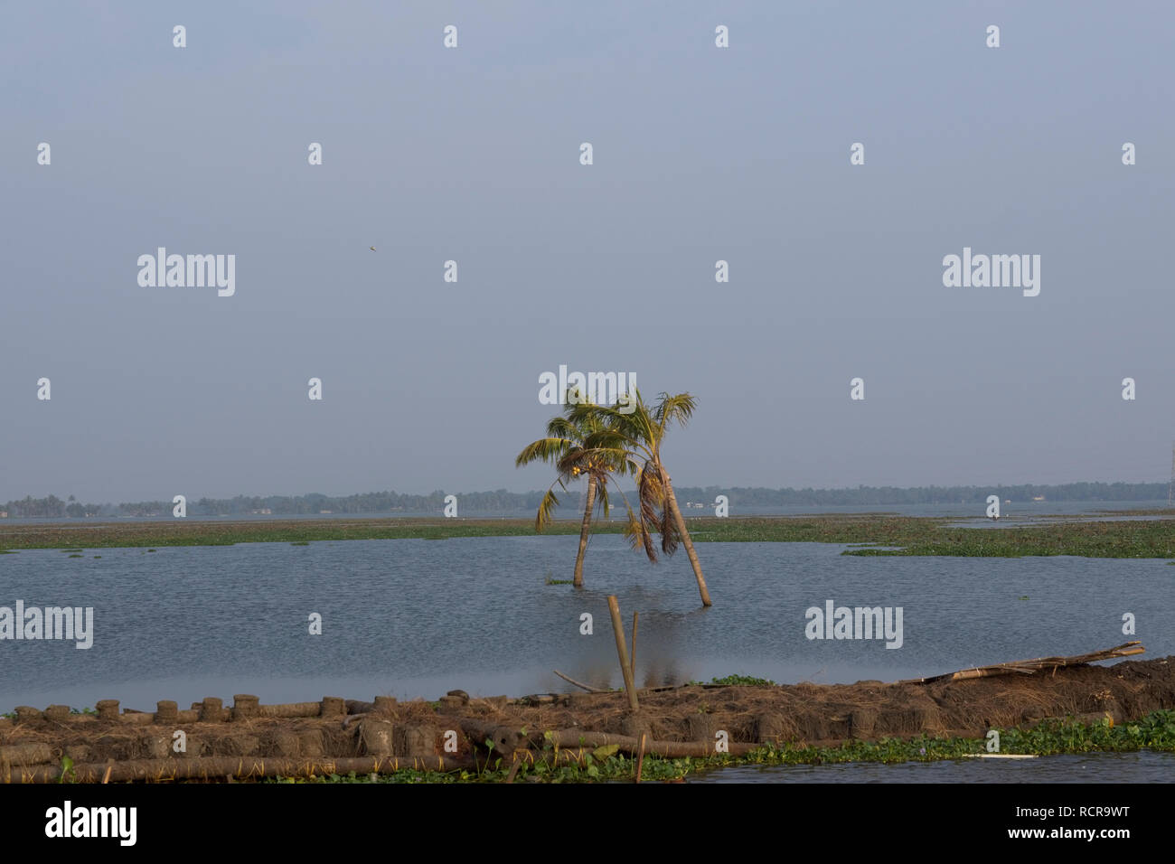 Views from house boat trip along Kerala Backwaters Stock Photo