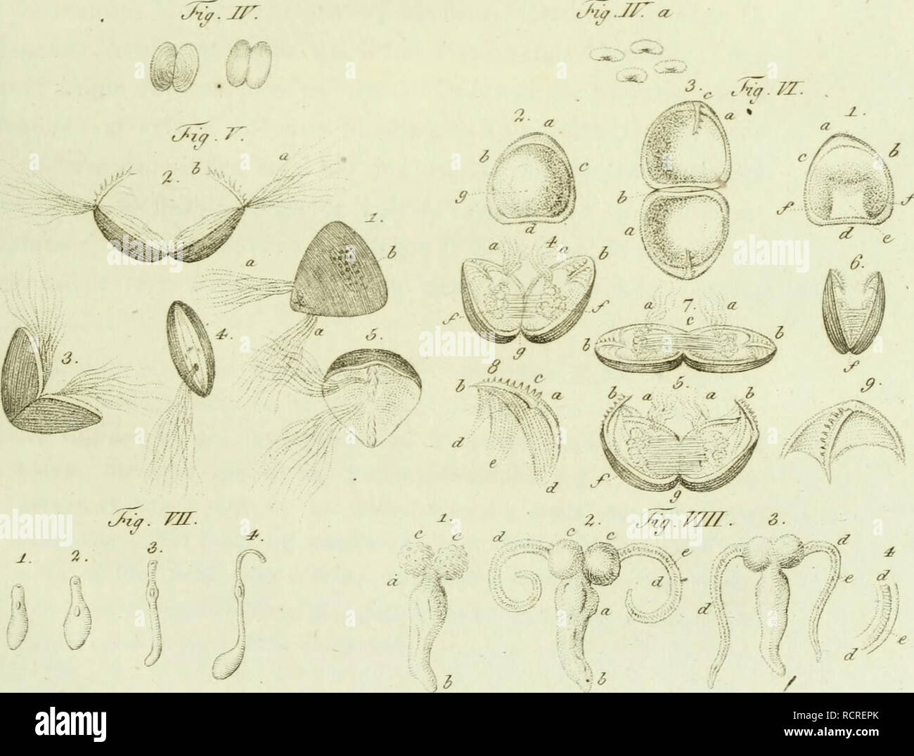 Zct hi-res stock photography and images - Alamy