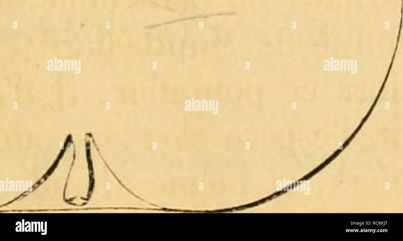 mièvre synonyme 8 lettres