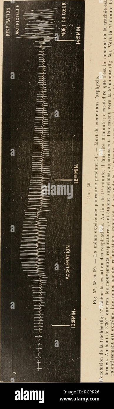 Page 221 P R G S High Resolution Stock Photography And Images Alamy