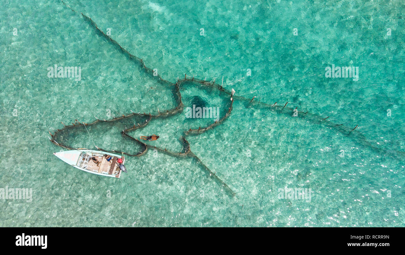 Fishermen dive in fish traditional traps in French Polynesia, Tikehau atoll Stock Photo