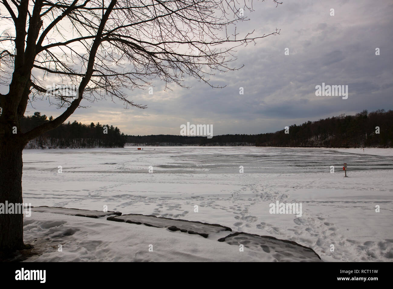 Winter at Walden Pond in Concord, Massachusetts Stock Photo - Alamy