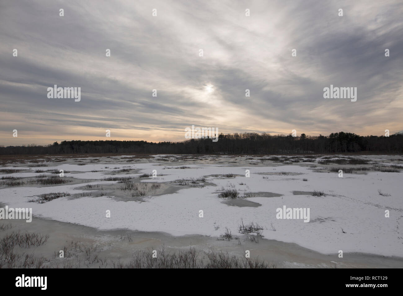 Topsfield hires stock photography and images Alamy