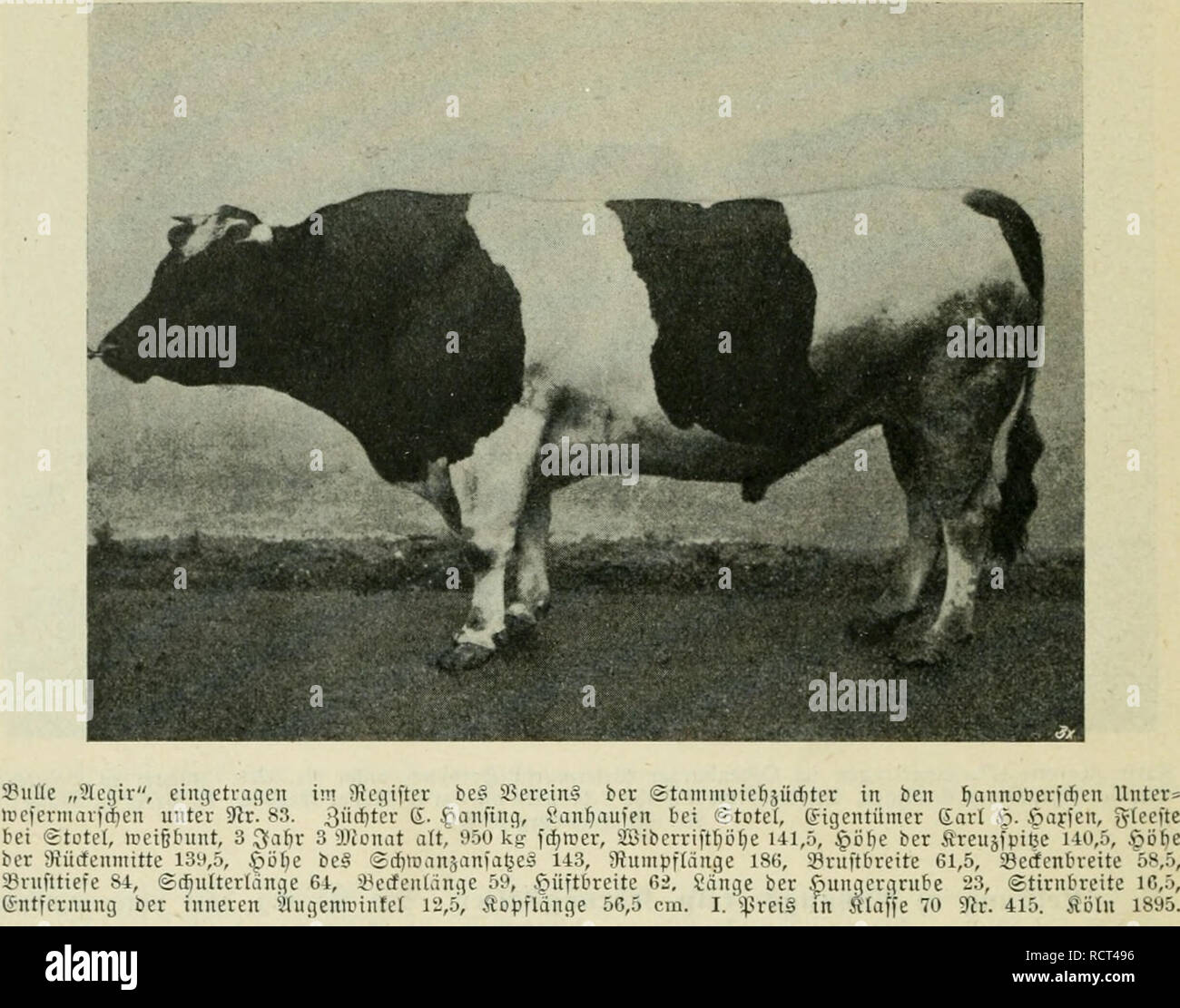 . Deutsches RinderMerkbuch Einrichtung, Führung und Leistung der