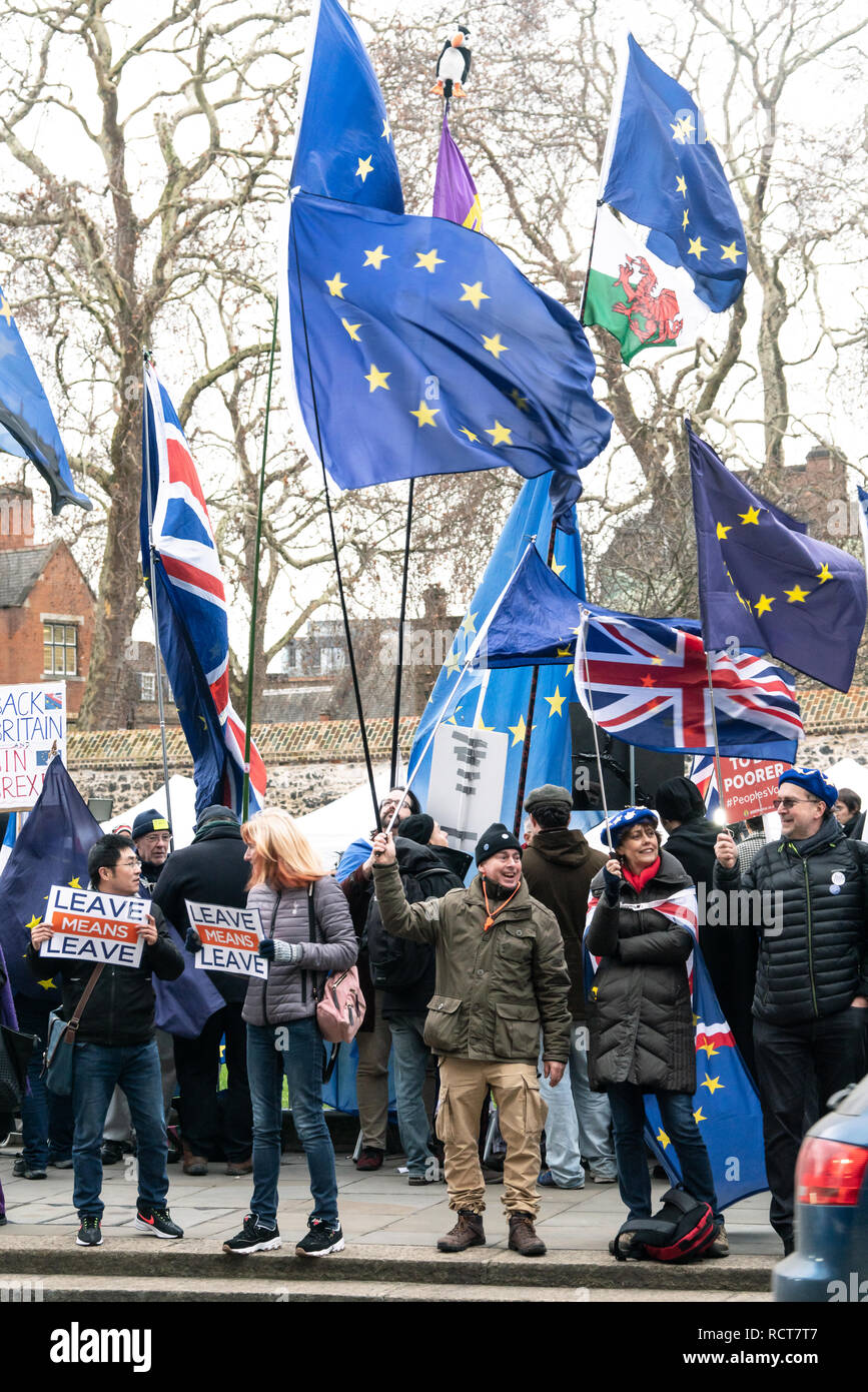 Protesters gather outside Parliament prior to the meaningful vote (MV) on the Brexit Withdrawal Agreement Westminster, London UK January 15th 2019 Stock Photo