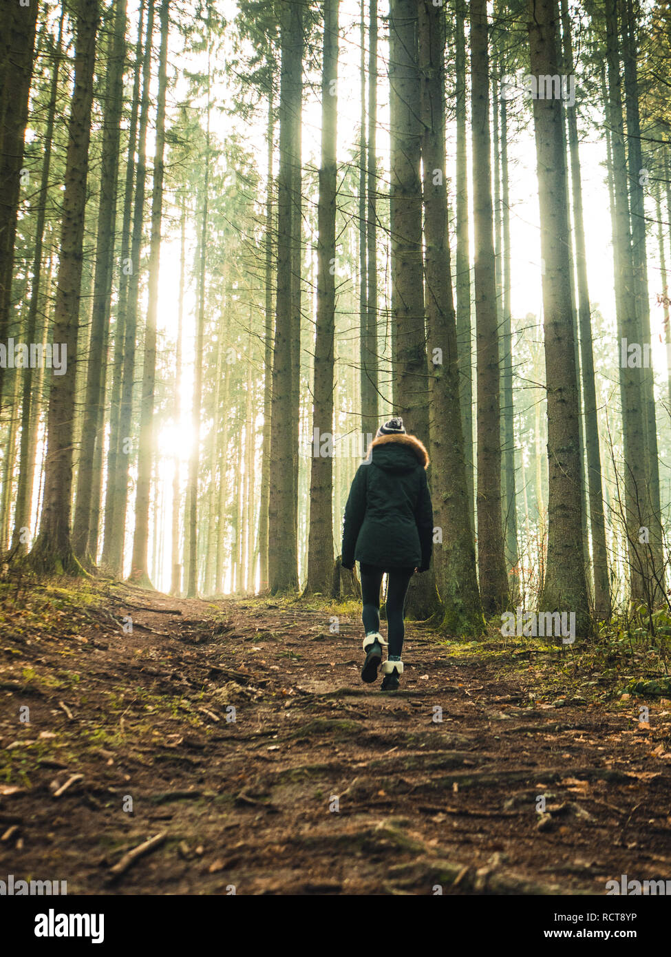 morning glory: young woman walking on a peaceful hiking path in the woods Stock Photo