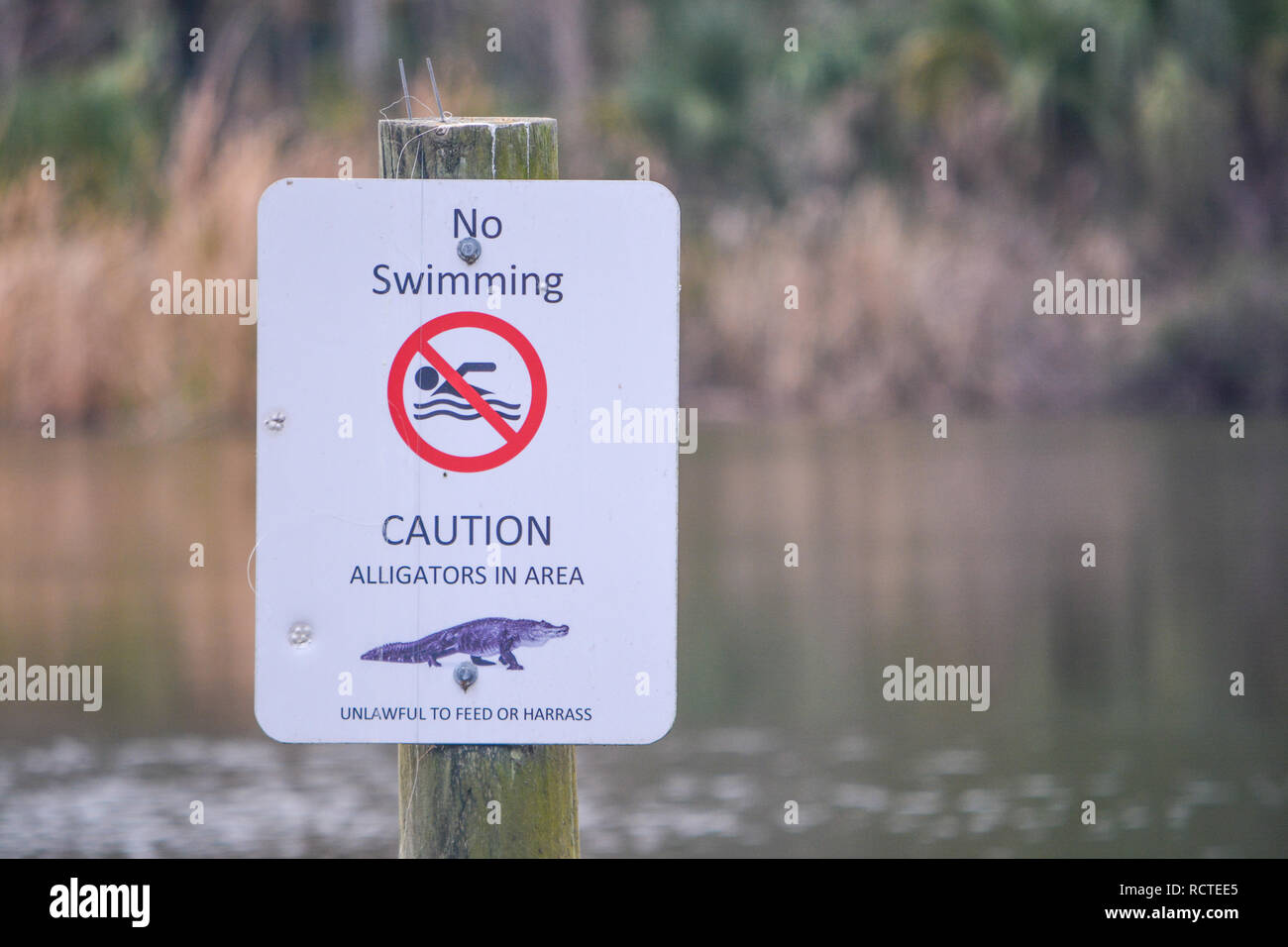 Alligators danger sign hi-res stock photography and images - Alamy