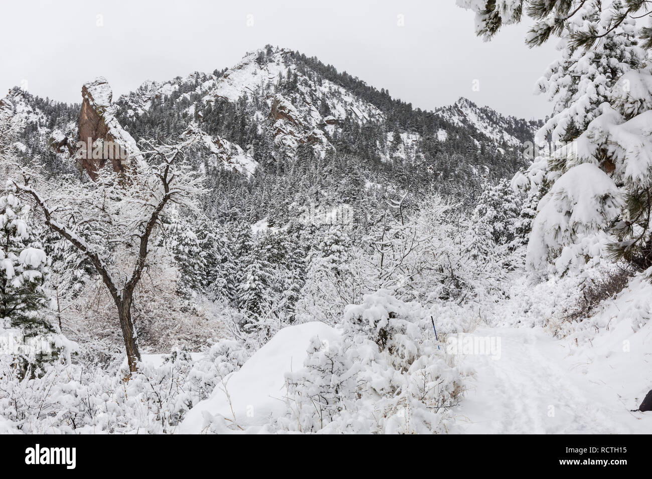 A snowy morning  in Shadow Canyon in the  Flatiron rock formations of South of Boulder, Colorado. Stock Photo