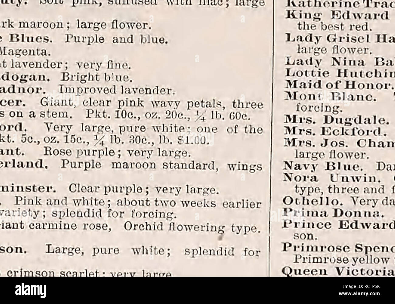 . Descriptive catalogue of vegetable, flower, and farm seeds. Nurseries (Horticulture); Nursery stock; Seeds; Bulbs (Plants); Gardening; Equipment and supplies; Bedding plants; Weeber &amp; Don. &lt;si. iM. PHLOX DBUMMOXDI GliANDlFLORA PHLOX Drummondi Grandiflora For brilliant effect and contin- uous blooming in the flower gar- den, the Phi..x cannot In- surpass- ed. 1 ft. H. A. LARGE-FLOWERING VARIETIES Alba. Pure white. Pkt. 5c. Coccinea. line deep scarlet. PI . in PLTTNIA, OIANT9 OF CALIFORNIA. Please note that these images are extracted from scanned page images that may have been digitally Stock Photo