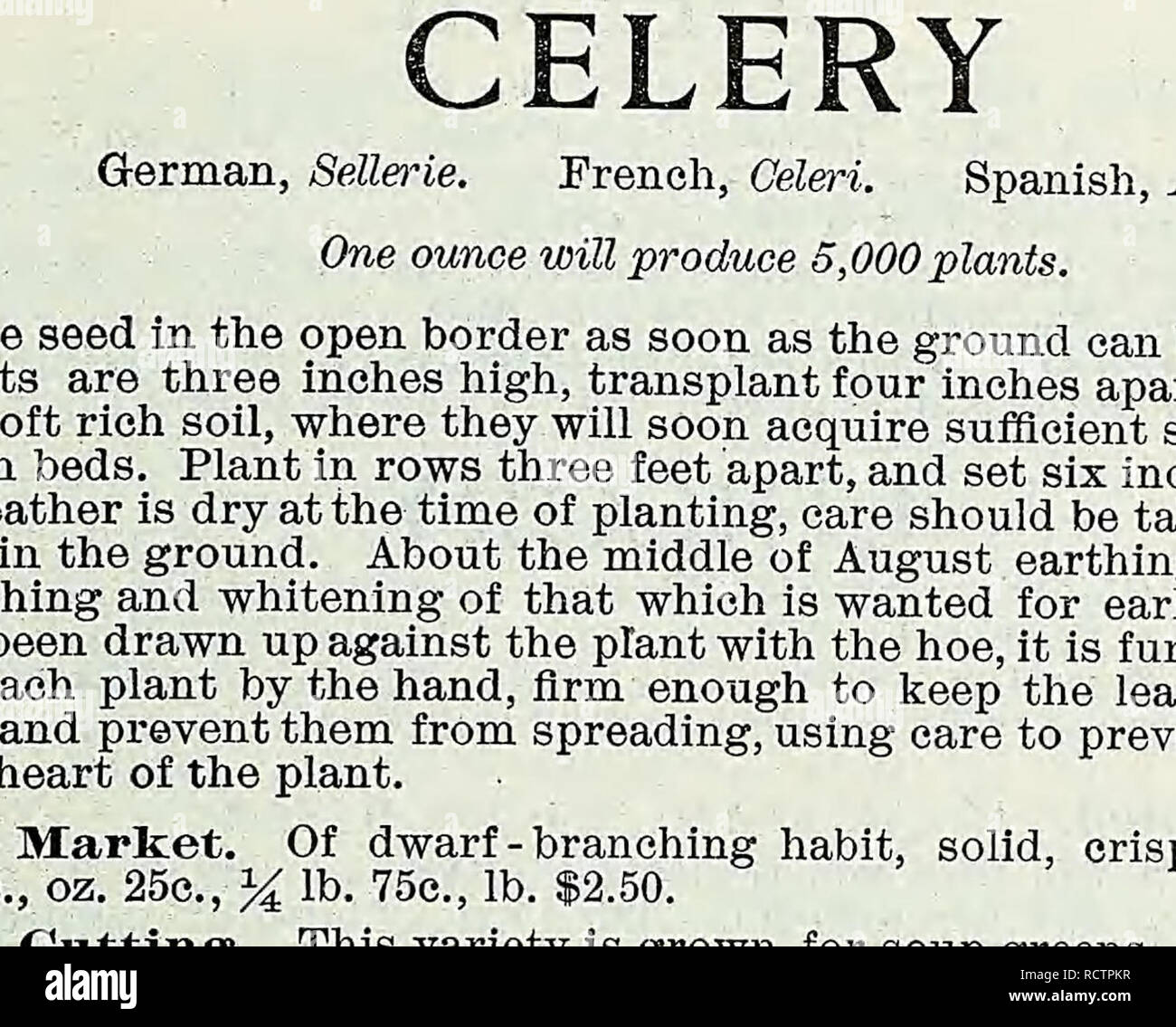 . Descriptive catalogue of vegetable, flower, and farm seeds. Nurseries (Horticulture); Nursery stock; Seeds; Bulbs (Plants); Gardening; Equipment and supplies; Bedding plants; Weeber &amp; Don. Vegetable Seeds 16 WEEBER U DON. CHERVIL German, Kerbel. French, CerfeuU. Spanish. Perifollo. The Curled Chervil is cultivated like Parsley, and used for garnishing and flavoring soups and salads. The seed of the tuberous rooted is sown in August, and treated like the Carrot. Curled Chervil. The young leaves are used for flavoring soups and salads. Pkt. 5c, oz. 10c, % lb. 30c, lb. $1.00. Tuberous Roote Stock Photo