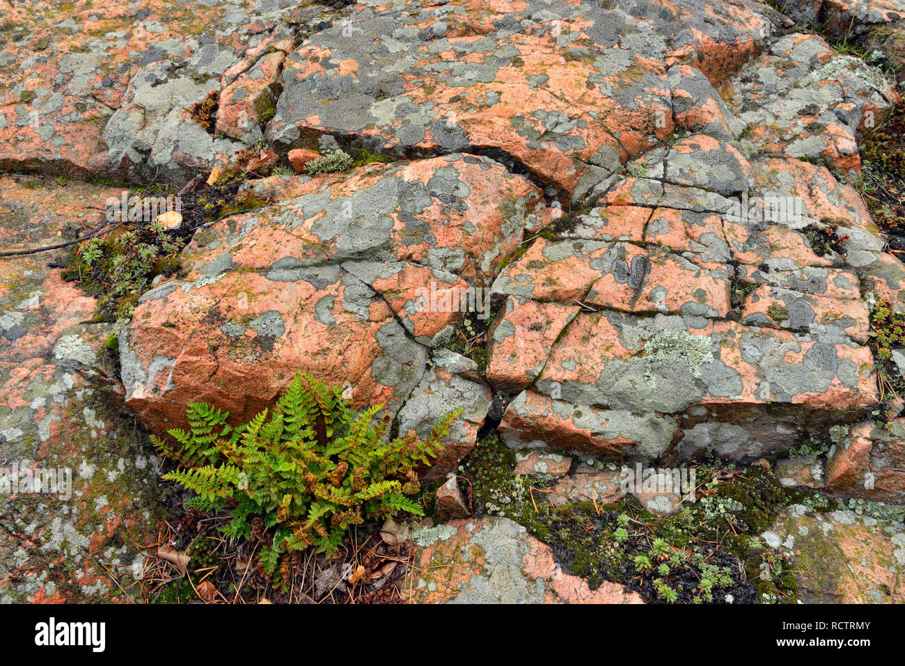 Precambrian Shield High Resolution Stock Photography and Images - Alamy