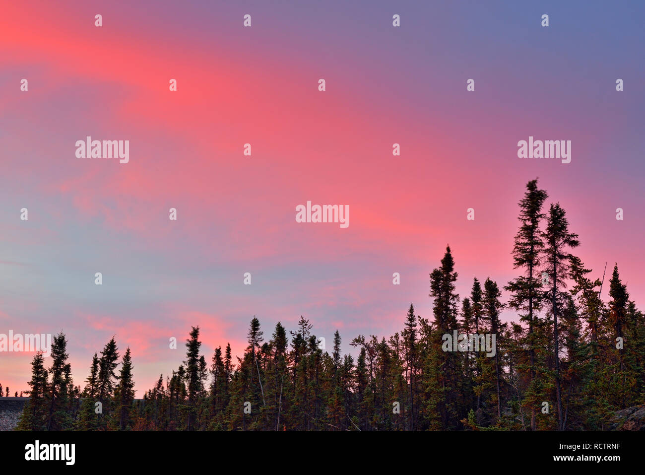 Sunrise skies and tree silhouettes, Yellowknife, Northwest Territories, Canada Stock Photo