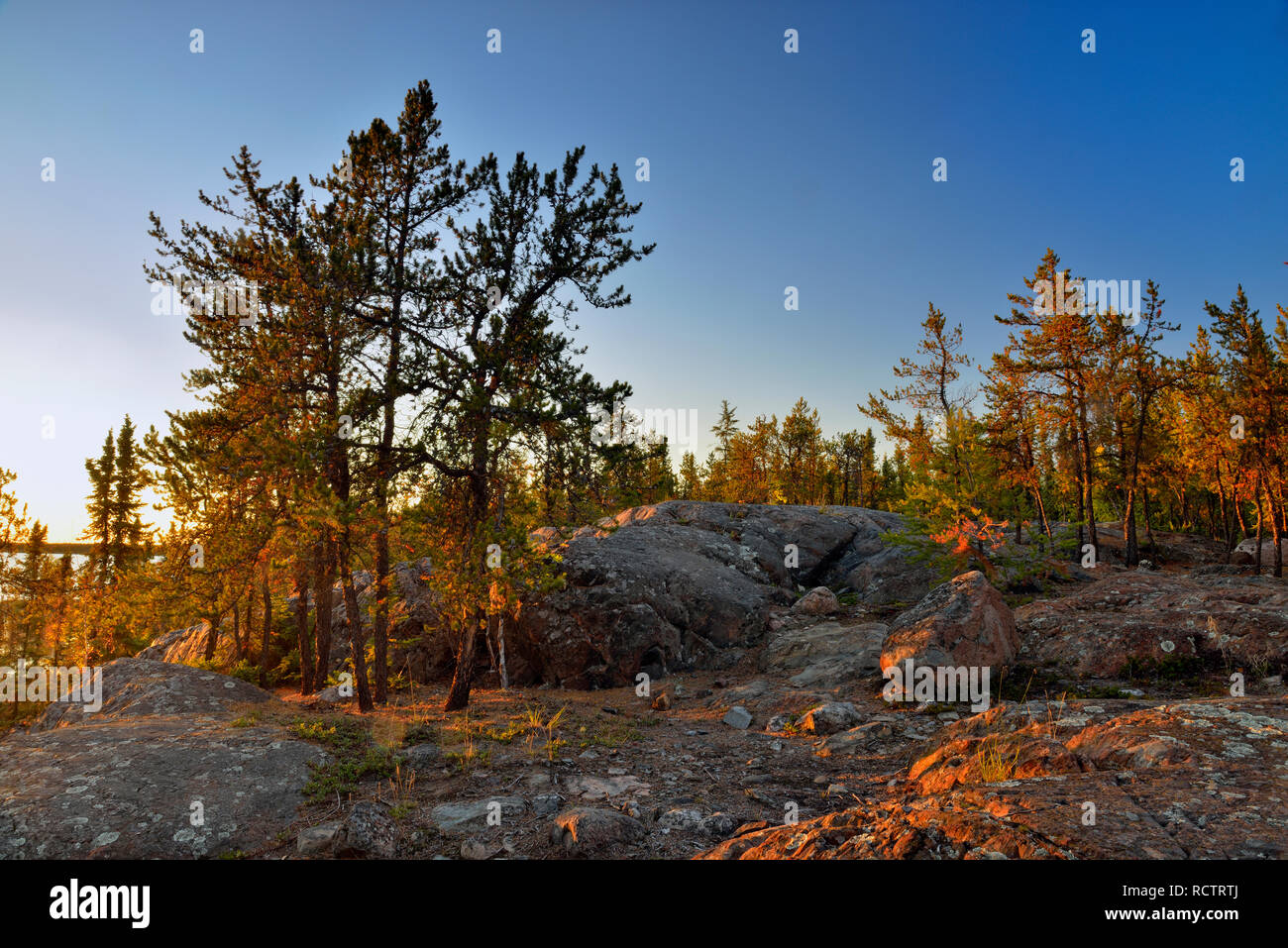 Granite rock outcrops and pine trees, Fred Henne Territorial Park, Yellowknife, Northwest Territories, Canada Stock Photo